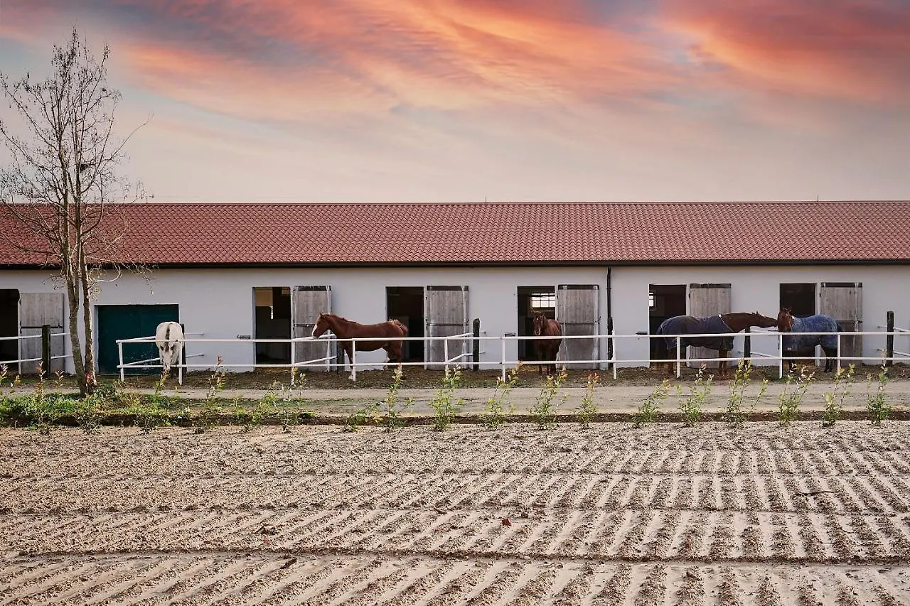 Brussa Horse Oasi Villa Caorle Italy