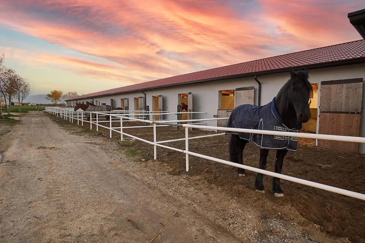 Farm stay Brussa Horse Oasi Villa Caorle