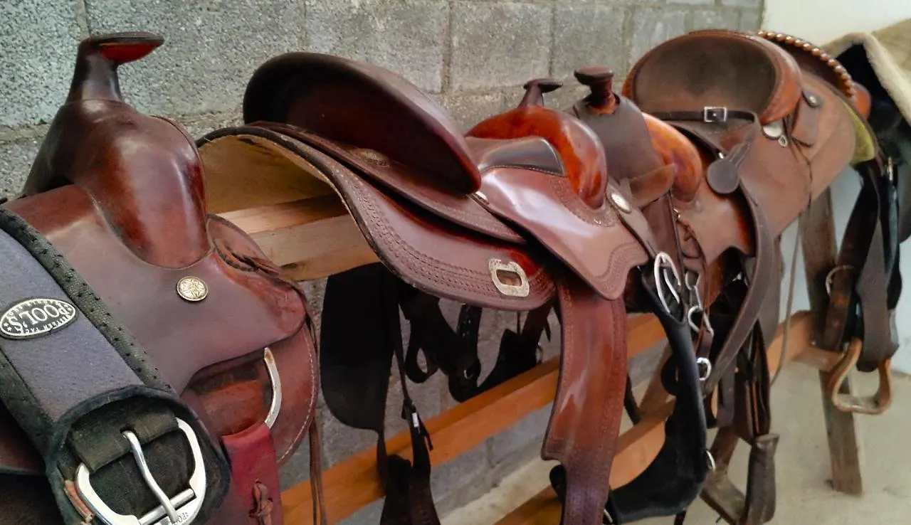 Brussa Horse Oasi Villa Caorle Farmház